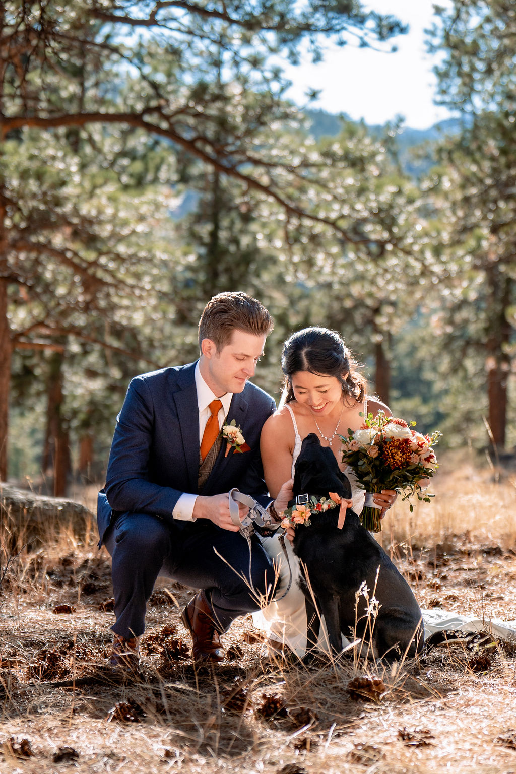 Newlyweds pet their dog on their wedding day in the forest at the Della Terra Wedding venue