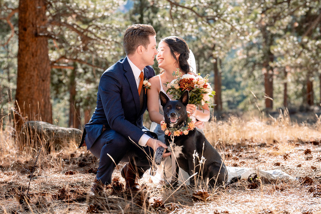A happy bride and groom kneel to their black dog while on a hike in the pine forest